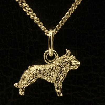 Gouden Laekense herder hond hanger - klein