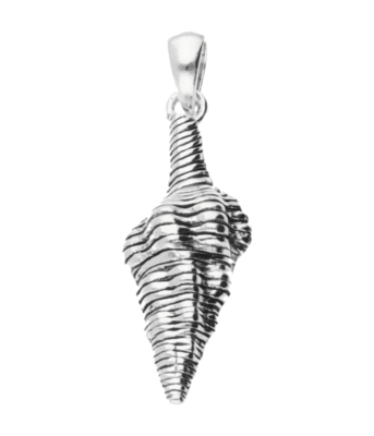 Zilveren Slakkenhuis Wulk Schelp in detail kettinghanger
