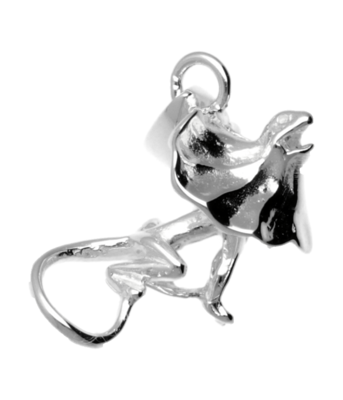 Zilveren Dinosaurus met kraag kettinghanger