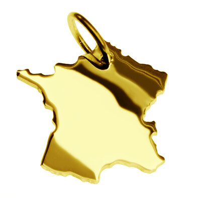 Gouden Landkaart Frankrijk ketting hanger