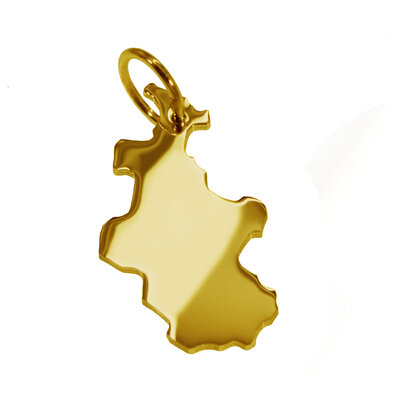 Gouden Provincie Overijssel ketting hanger