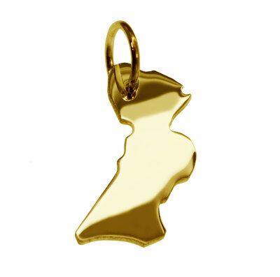 Gouden Provincie Flevoland ketting hanger