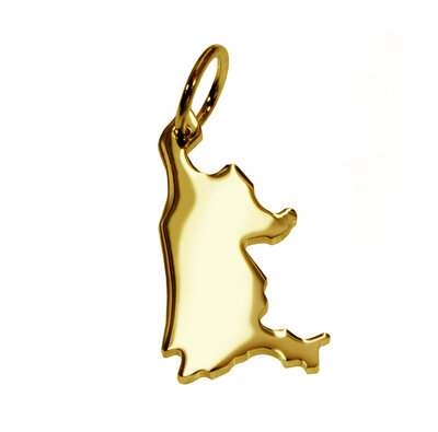 Gouden Provincie Noord Holland ketting hanger