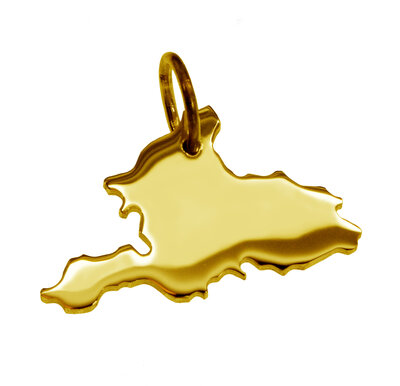 Gouden Provincie Gelderland ketting hanger