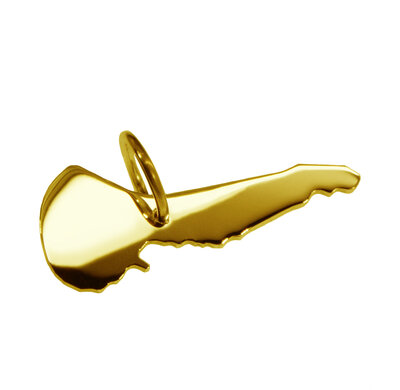 Gouden Waddeneiland Ameland ketting hanger