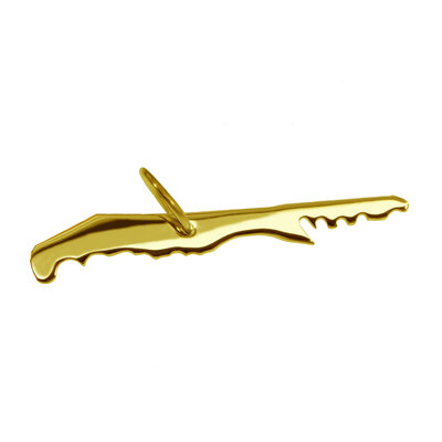 Gouden Waddeneiland Terschelling ketting hanger