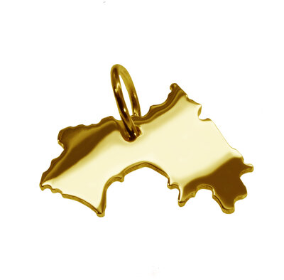 Gouden Landkaart Guinea ketting hanger