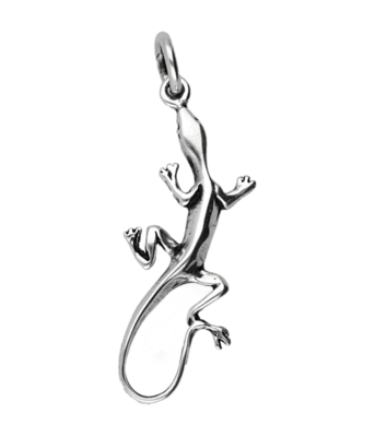 Zilveren Salamander/Gekko lang ketting hanger