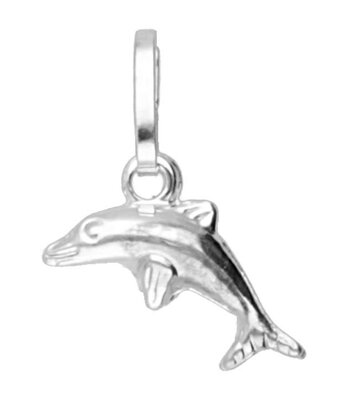 Zilveren Dolfijn klein kettinghanger